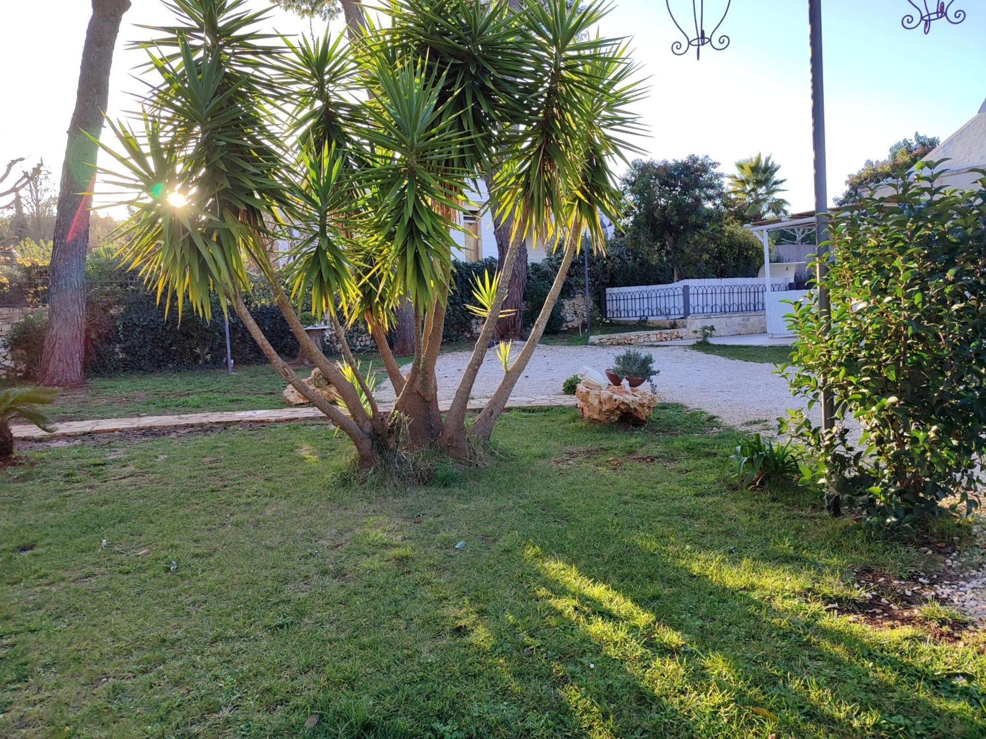 Villa Don Peppe เซลวา ดิ ฟาซาโน ห้อง รูปภาพ
